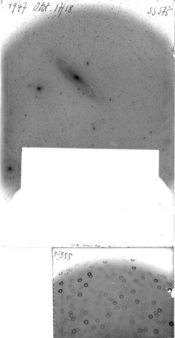 Scan SS00575