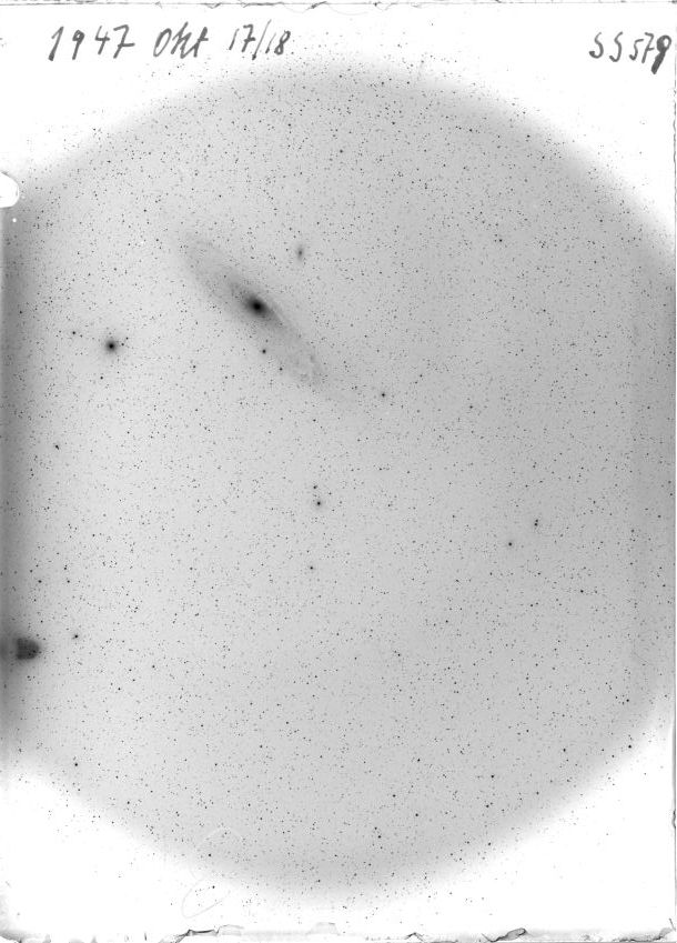 Scan SS00579