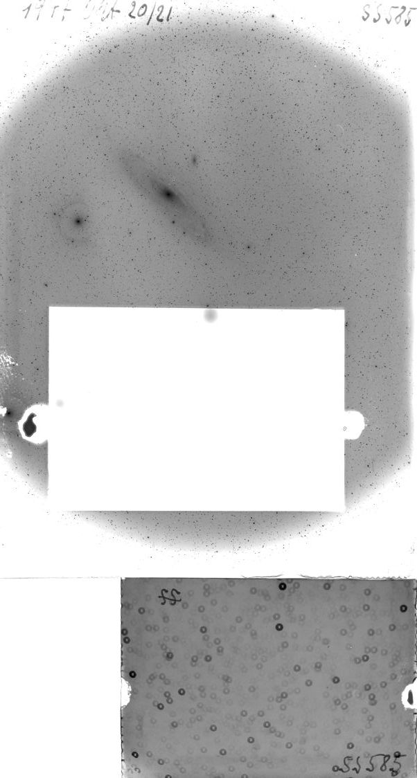 Scan SS00585