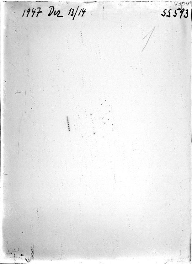 Scan SS00593