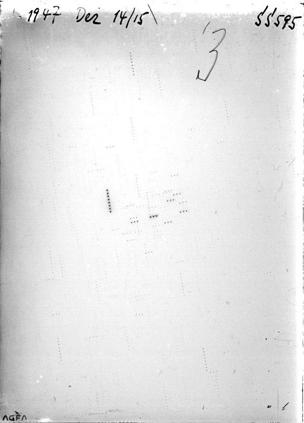 Scan SS00595
