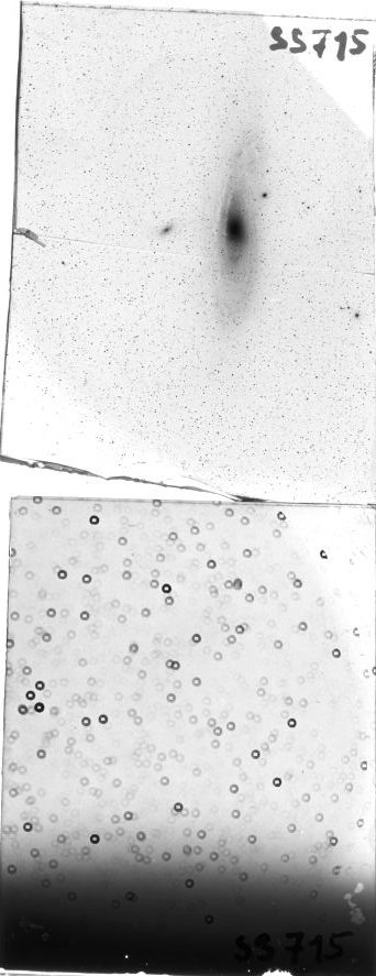 Scan SS00715
