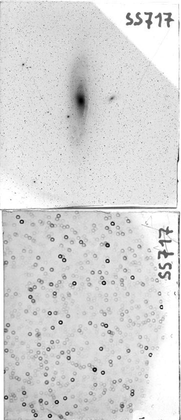 Scan SS00717