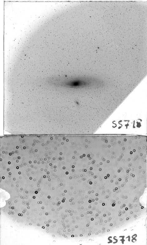 Scan SS00718