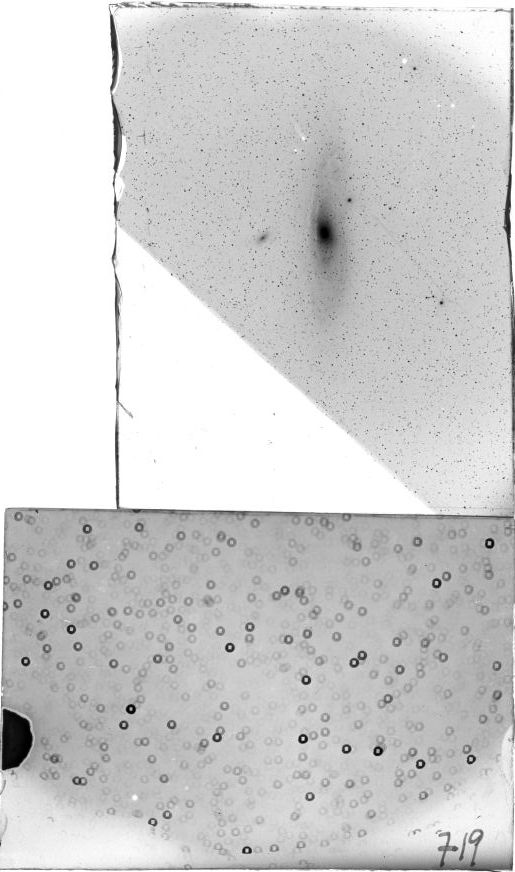 Scan SS00719