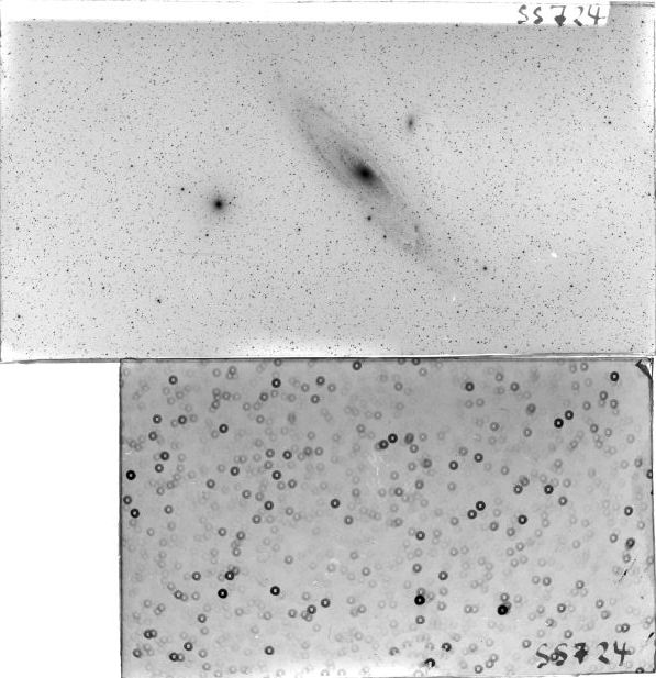Scan SS00724