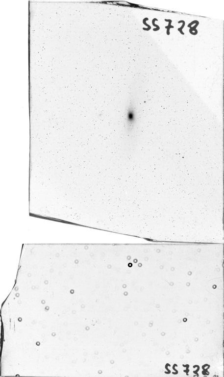 Scan SS00728
