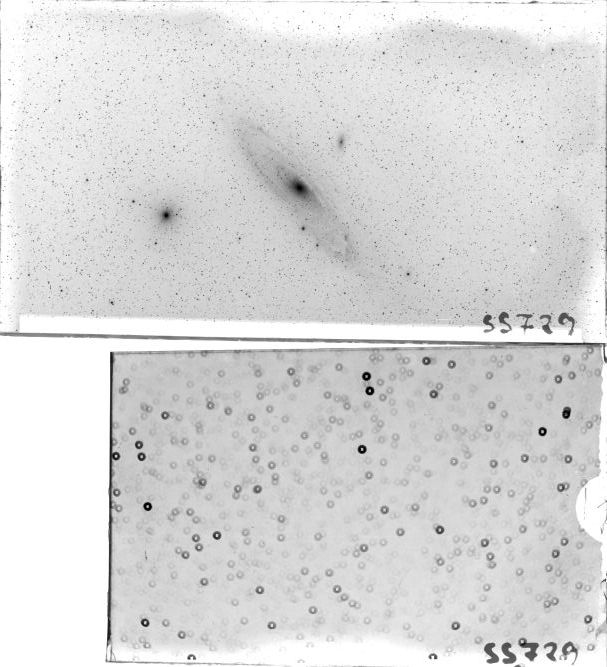 Scan SS00729