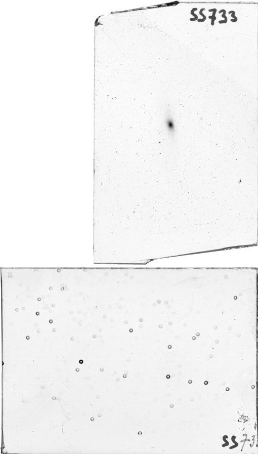 Scan SS00733