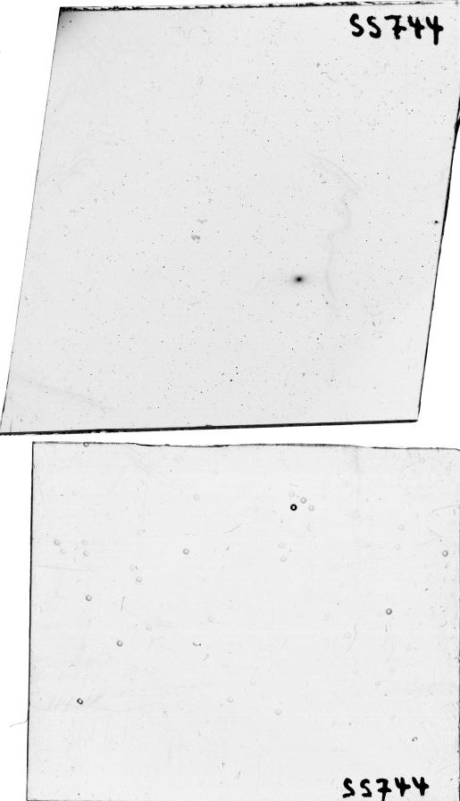 Scan SS00744