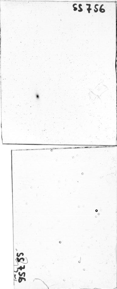 Scan SS00756