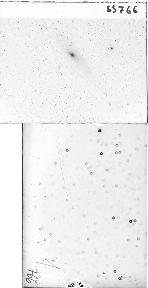 Scan SS00766