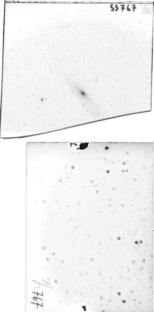 Scan SS00767