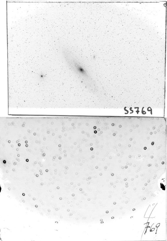 Scan SS00769
