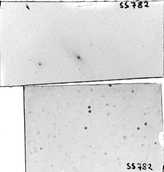 Scan SS00782