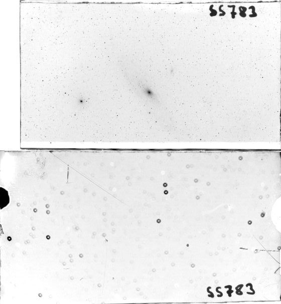 Scan SS00783