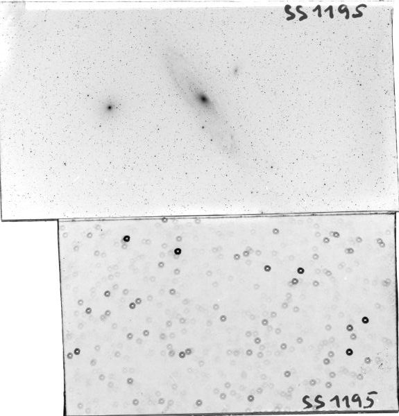 Scan SS01195