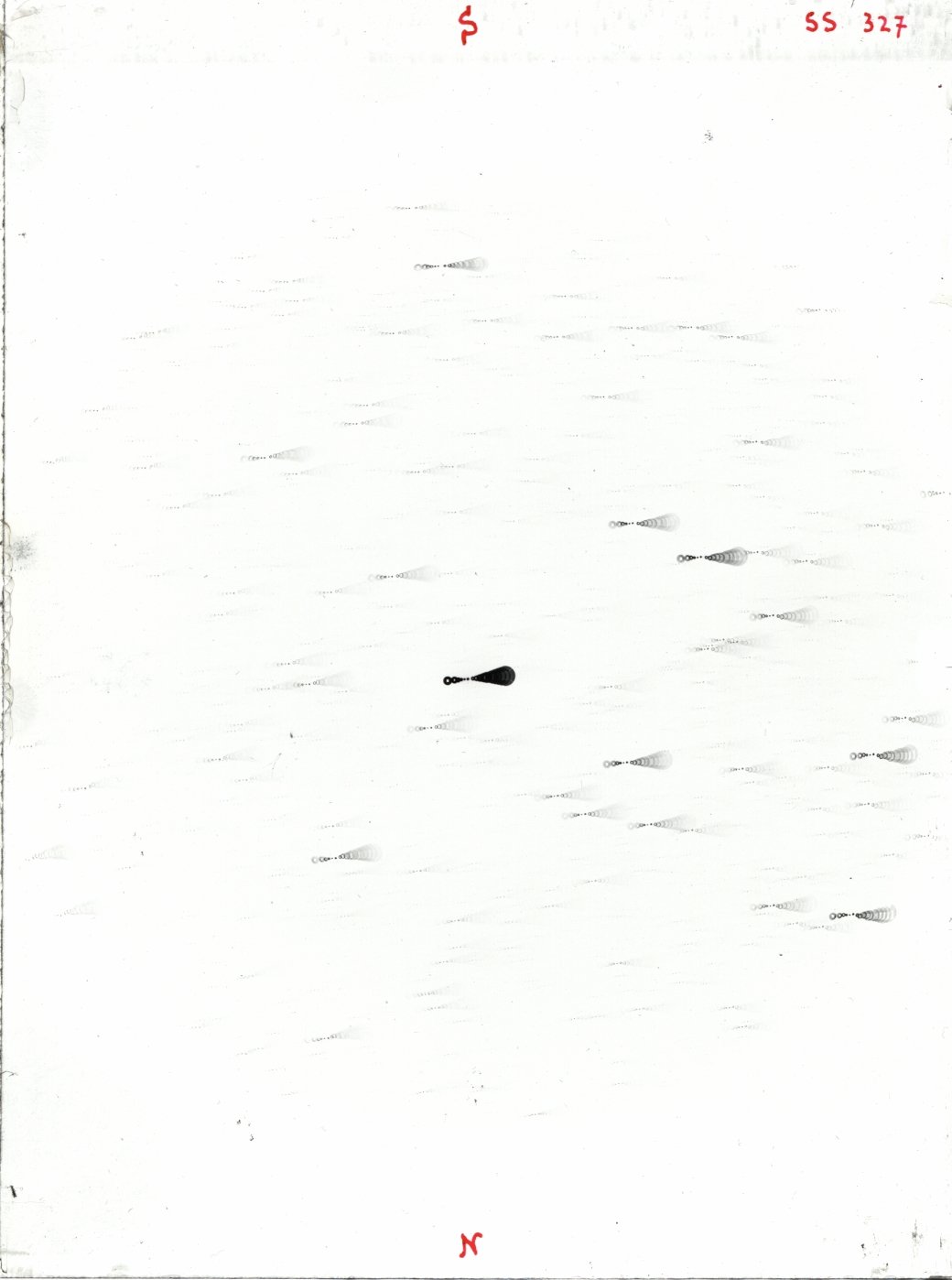 Scan SS00327