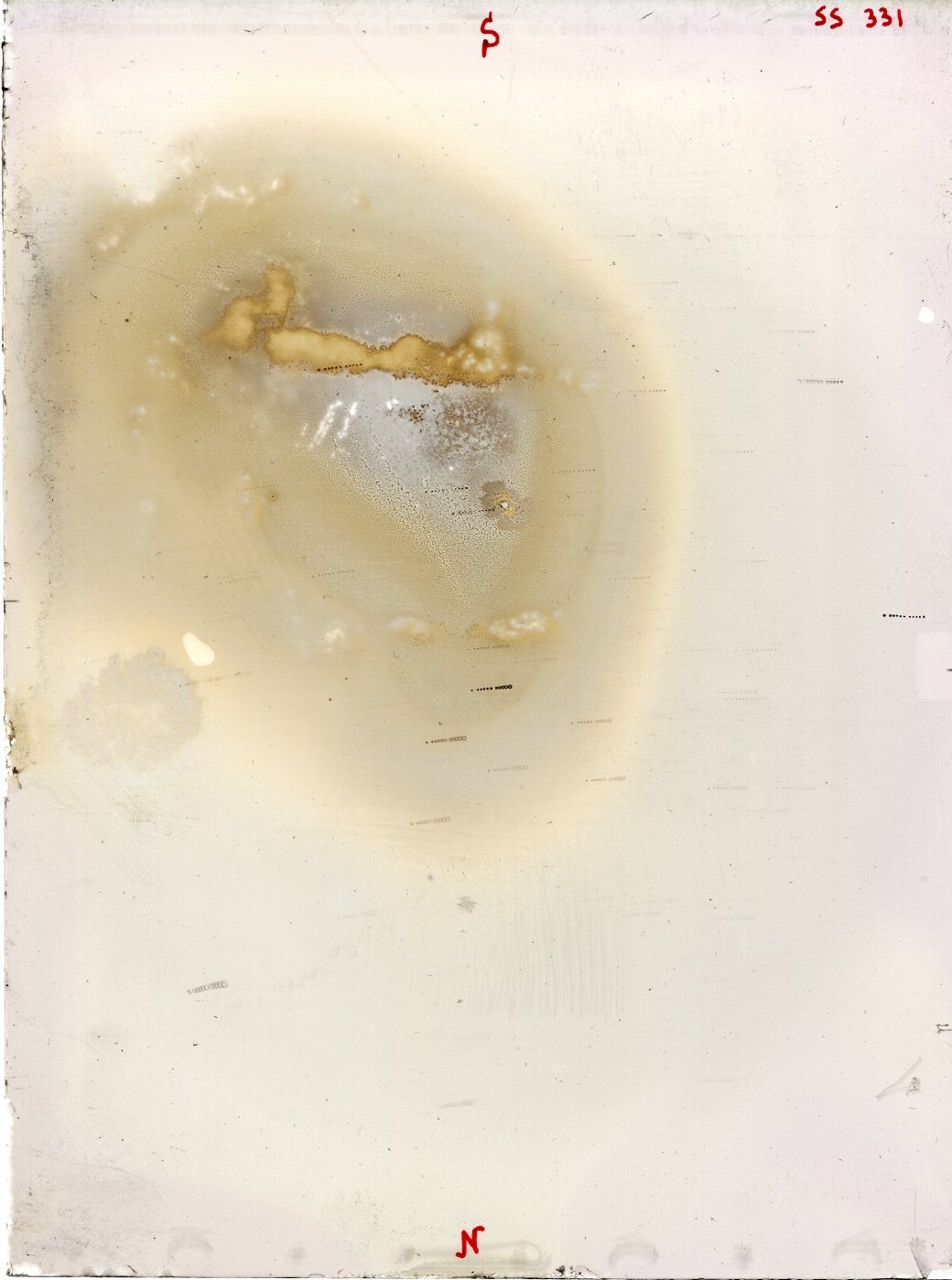 Scan SS00331