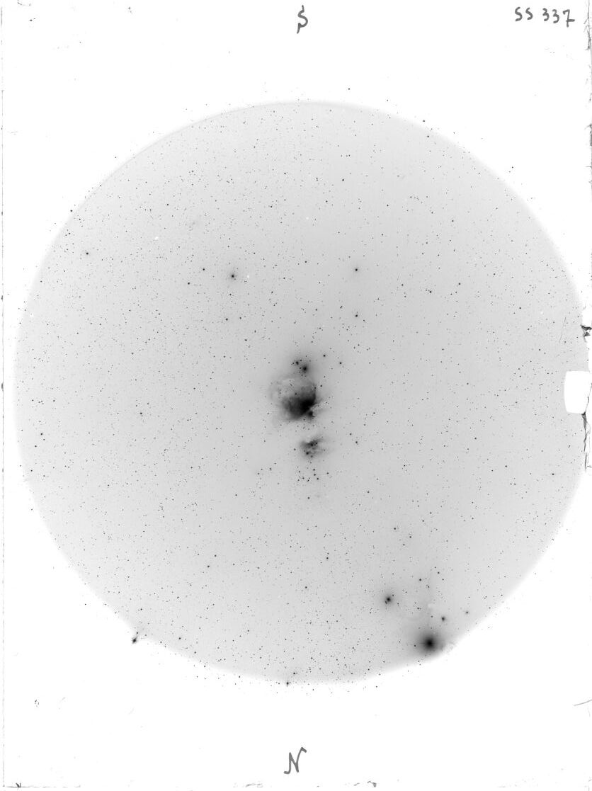 Scan SS00337