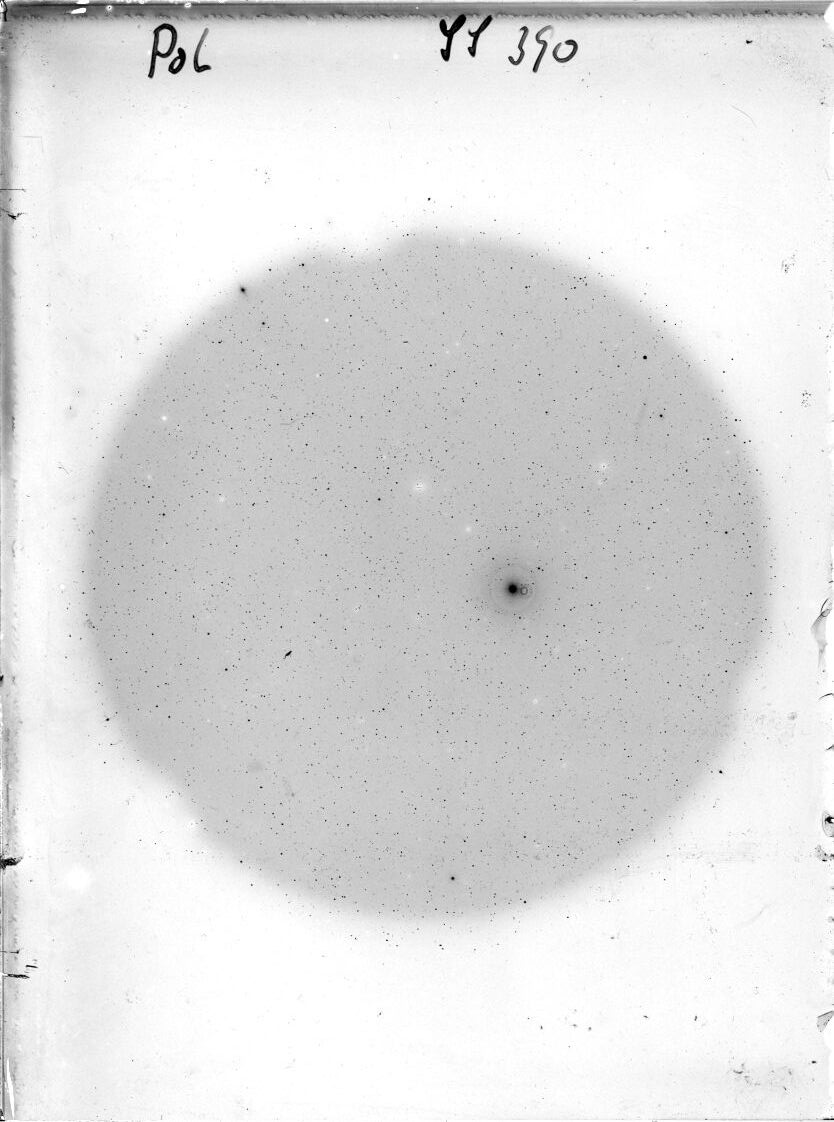 Scan SS00390