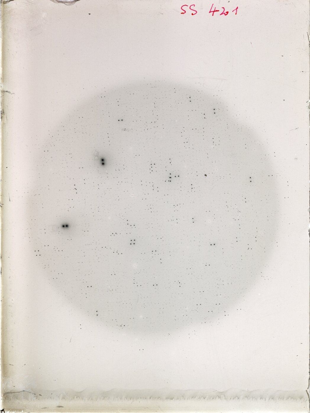 Scan SS00421