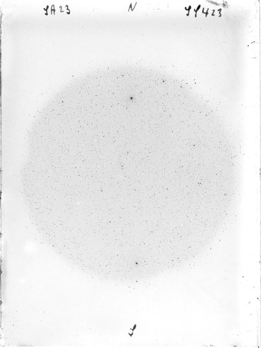Scan SS00423