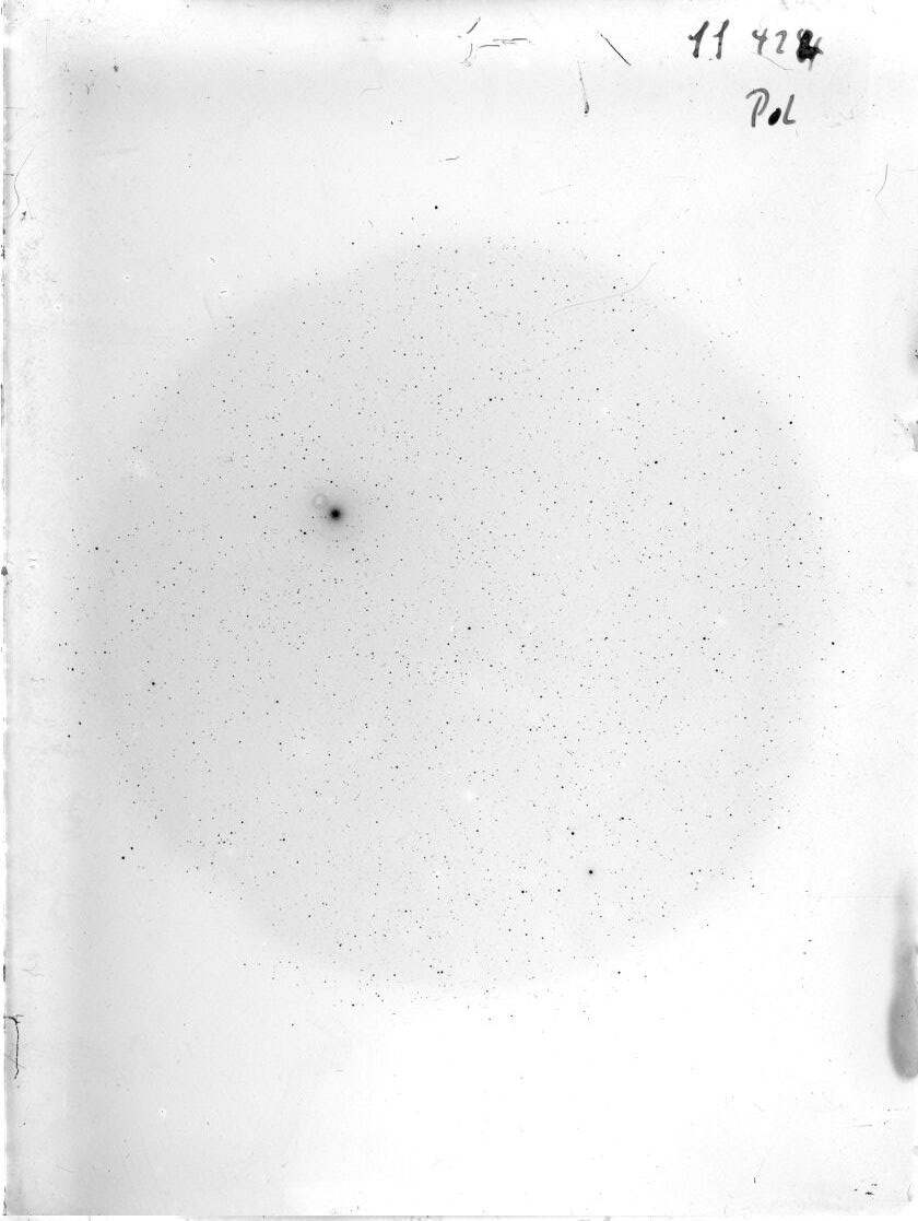 Scan SS00424