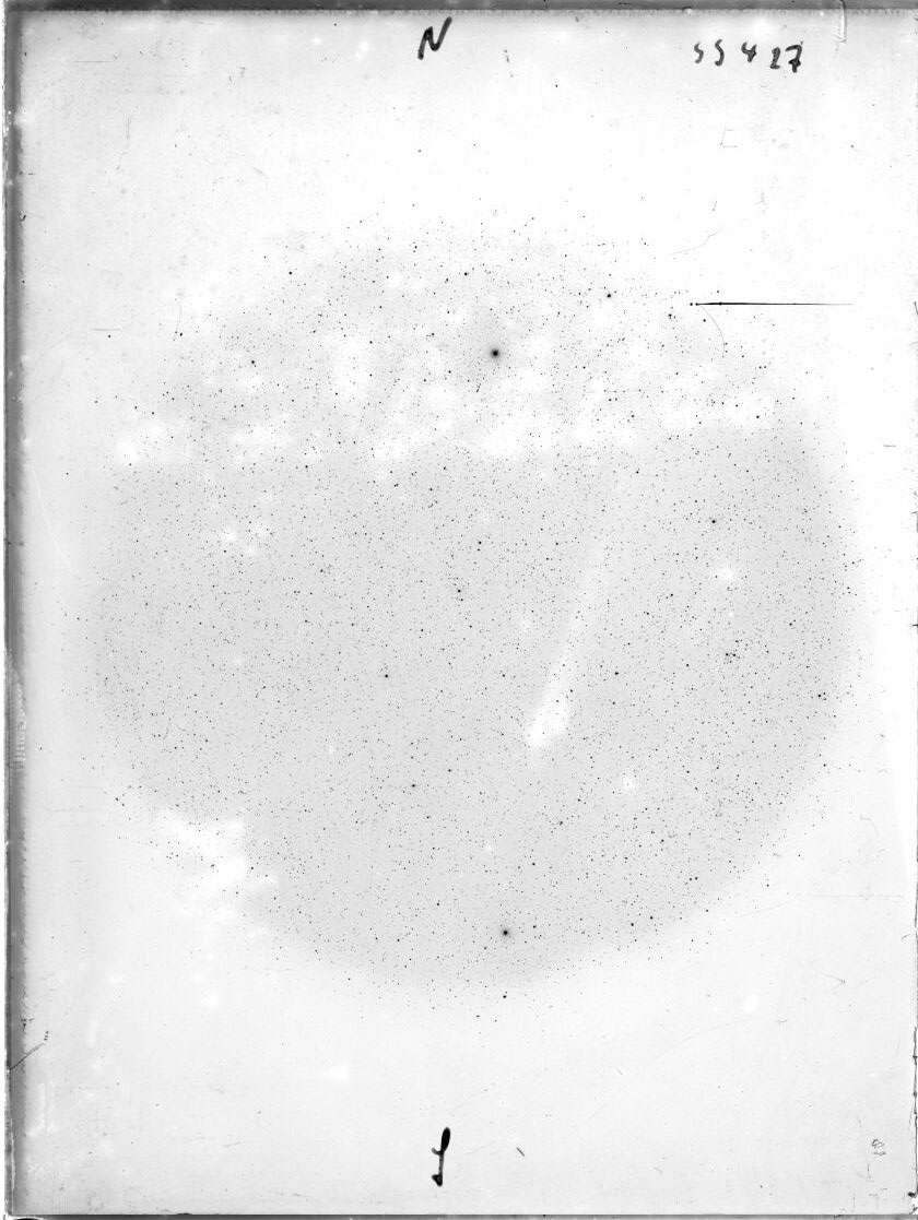 Scan SS00427