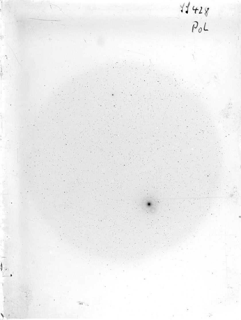Scan SS00428