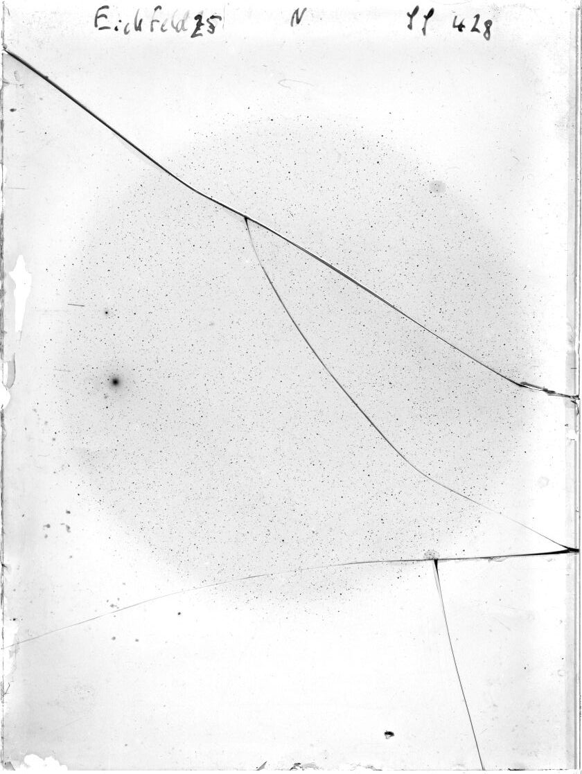 Scan SS00429