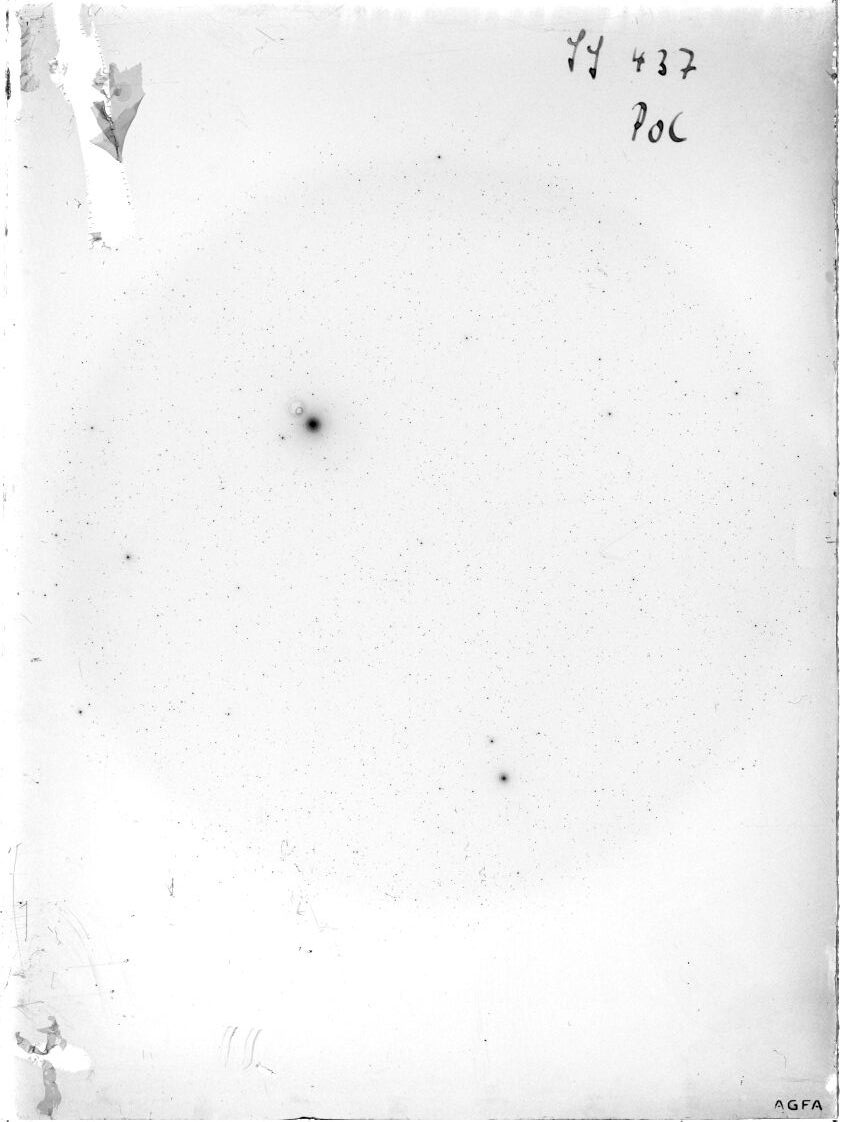 Scan SS00437