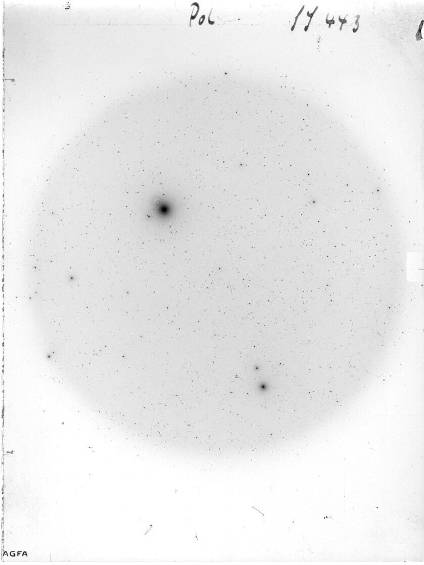 Scan SS00443