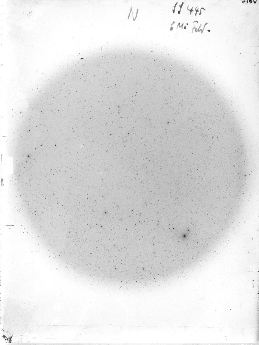 Scan SS00445