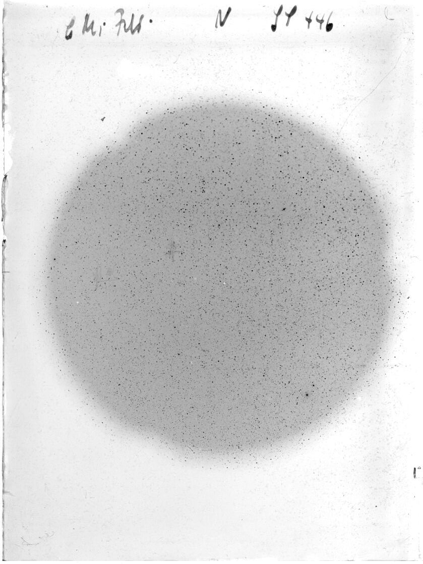 Scan SS00446