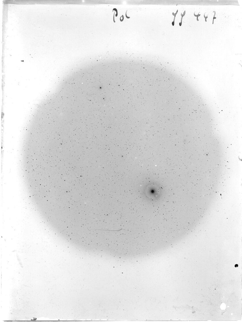 Scan SS00447