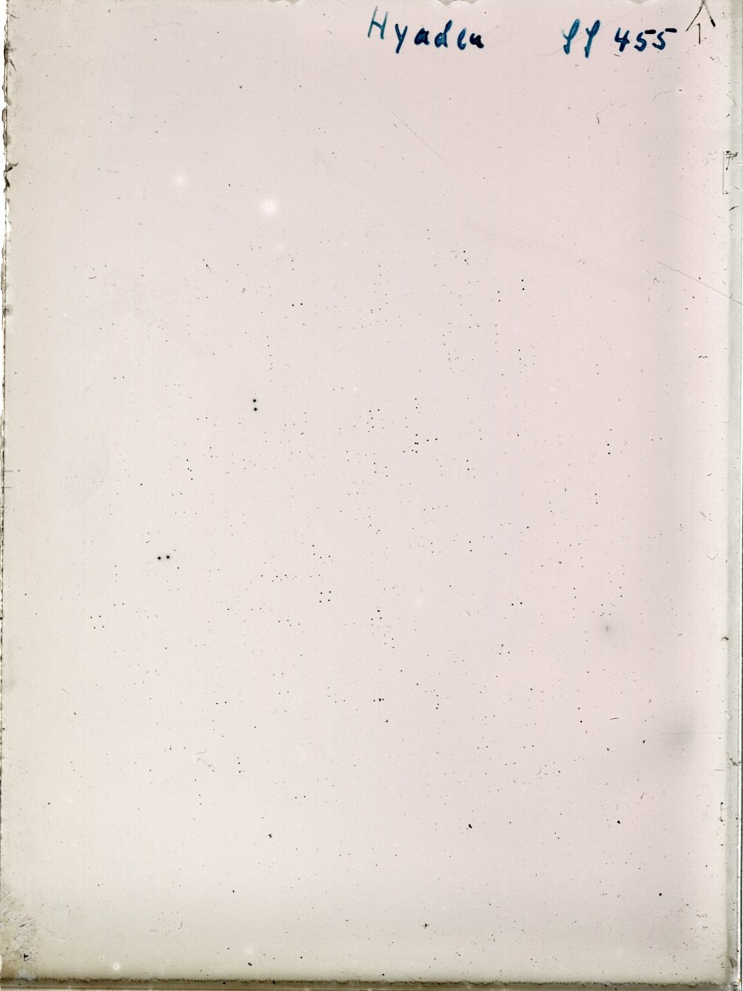 Scan SS00455