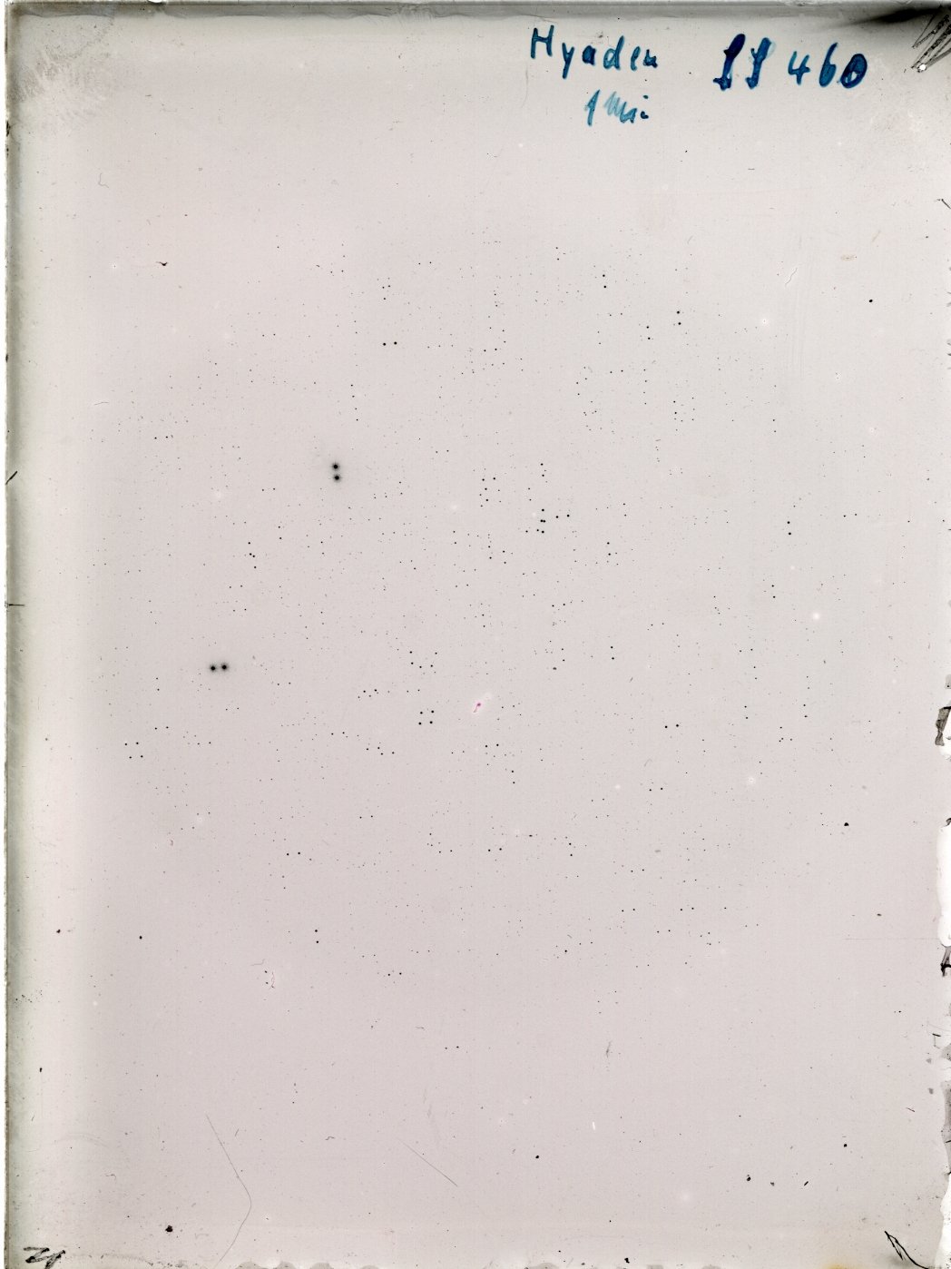 Scan SS00460