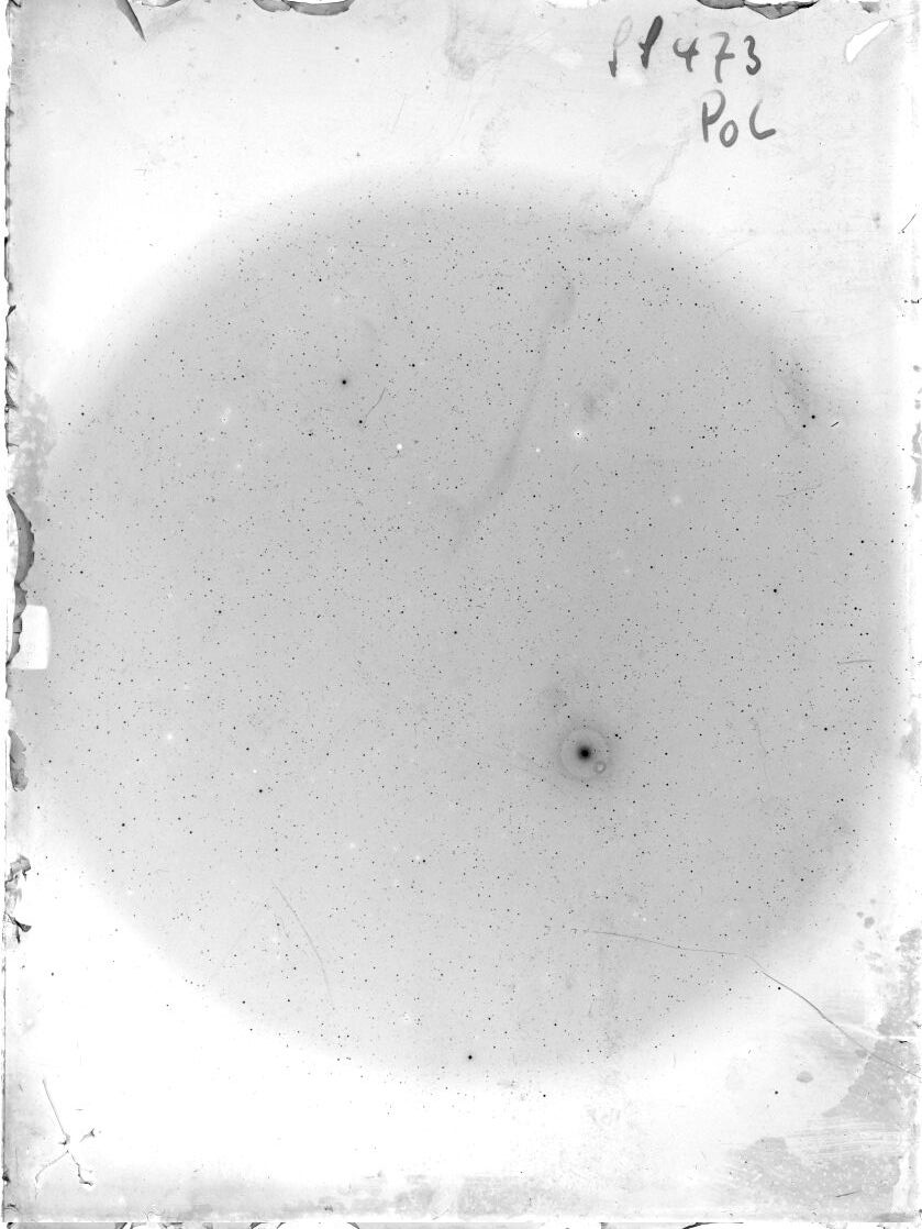 Scan SS00473