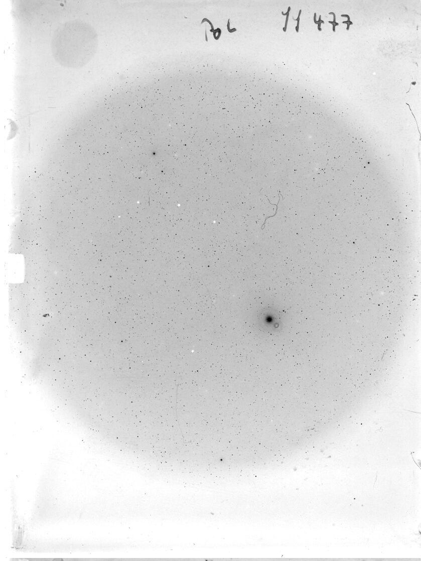 Scan SS00477