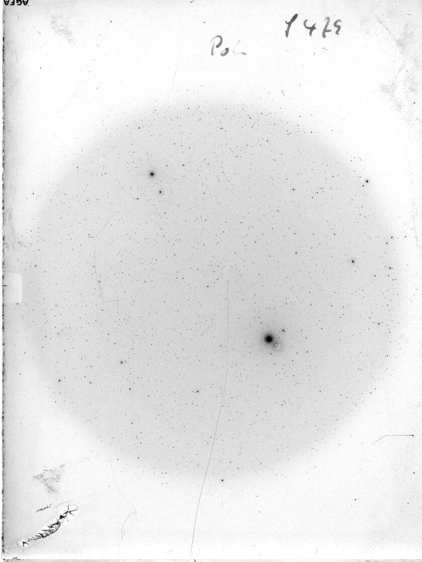 Scan SS00479