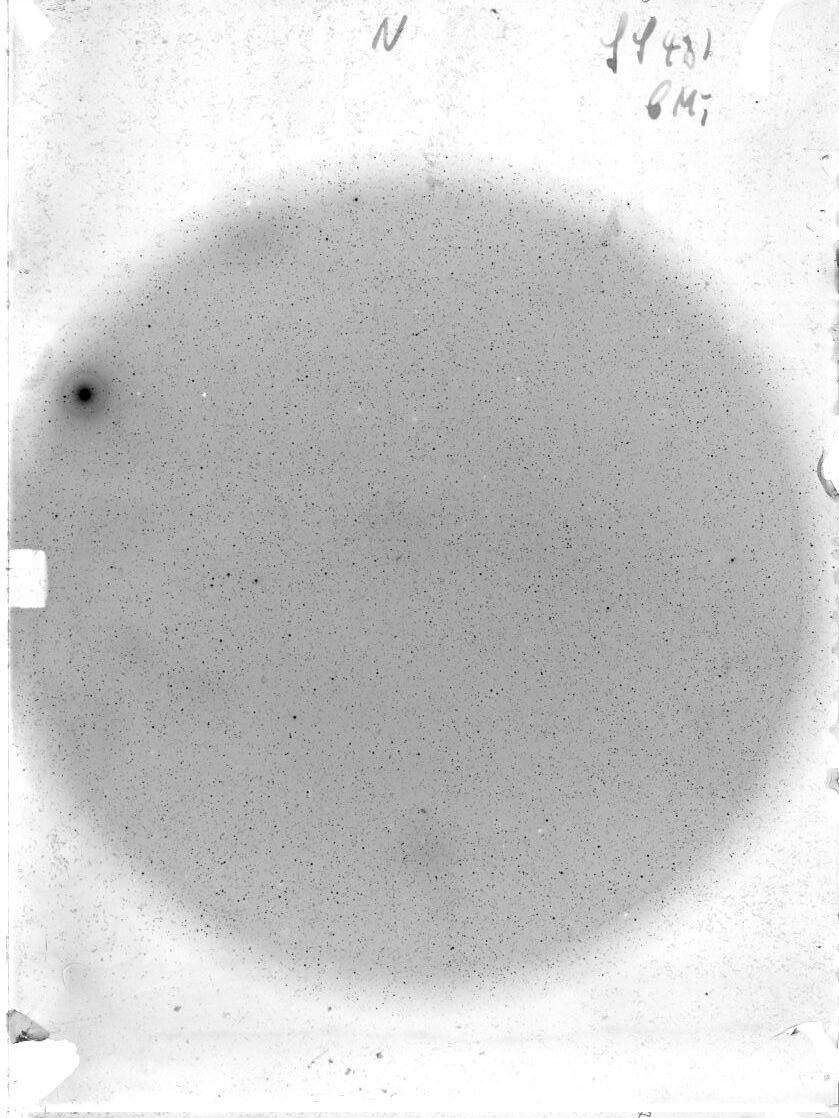 Scan SS00481