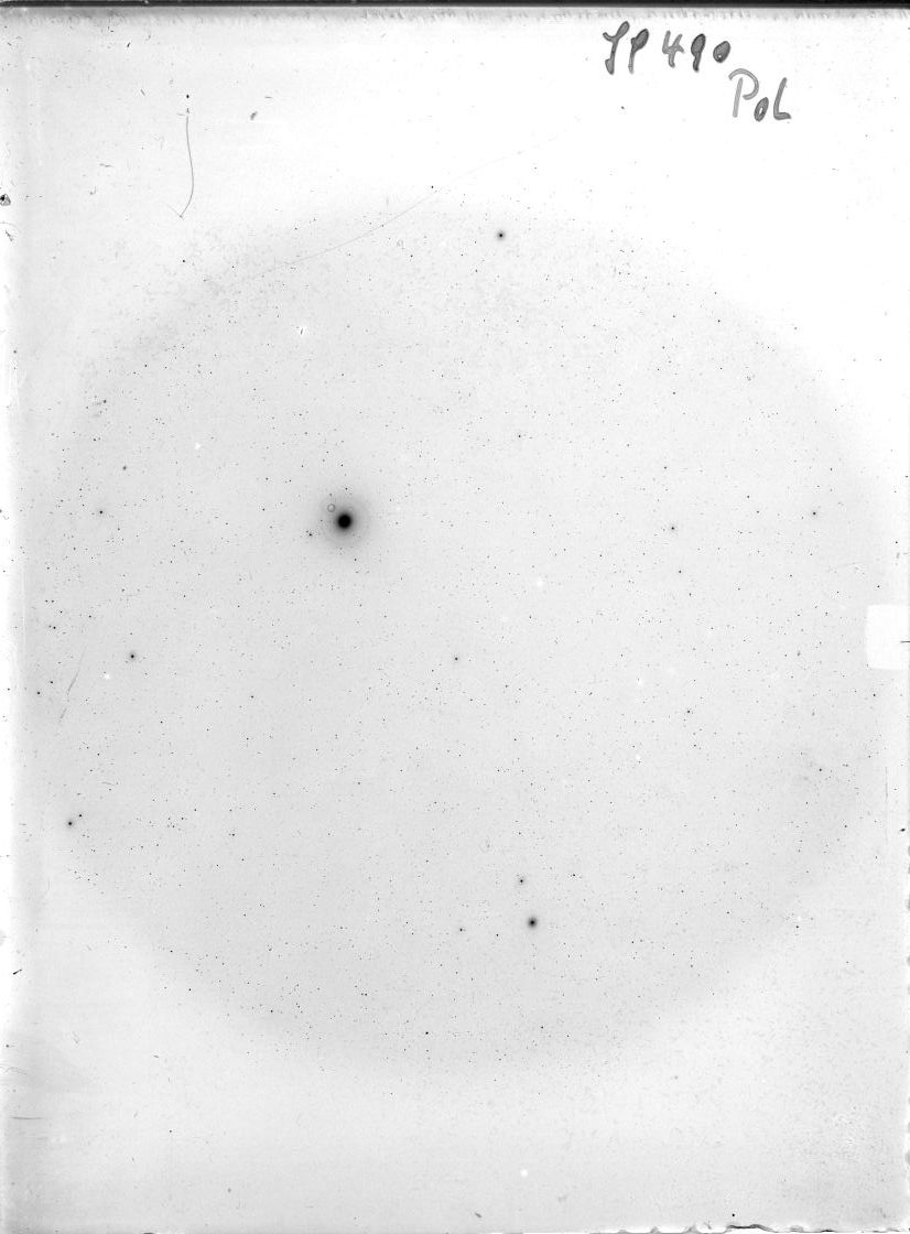 Scan SS00490