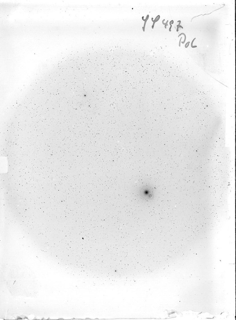 Scan SS00497