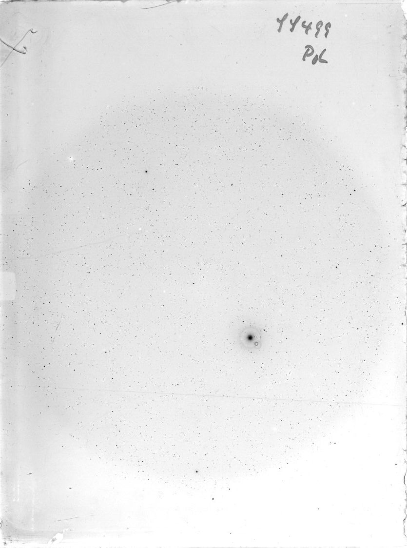 Scan SS00499