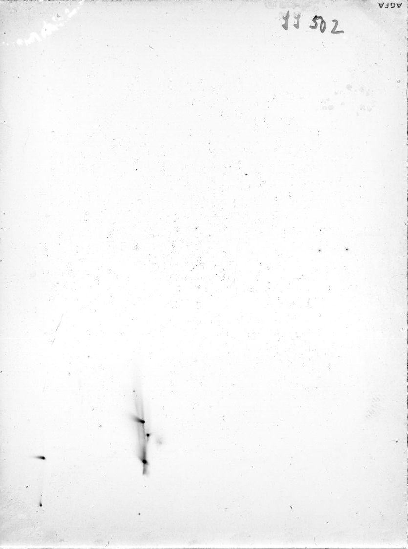 Scan SS00502