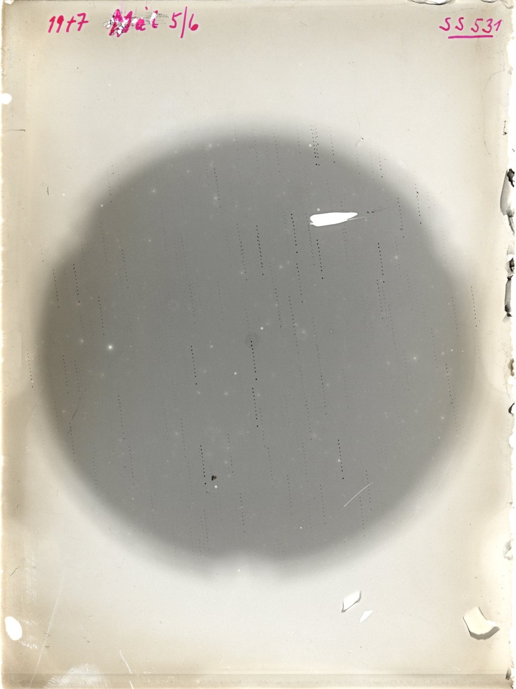 Scan SS00531