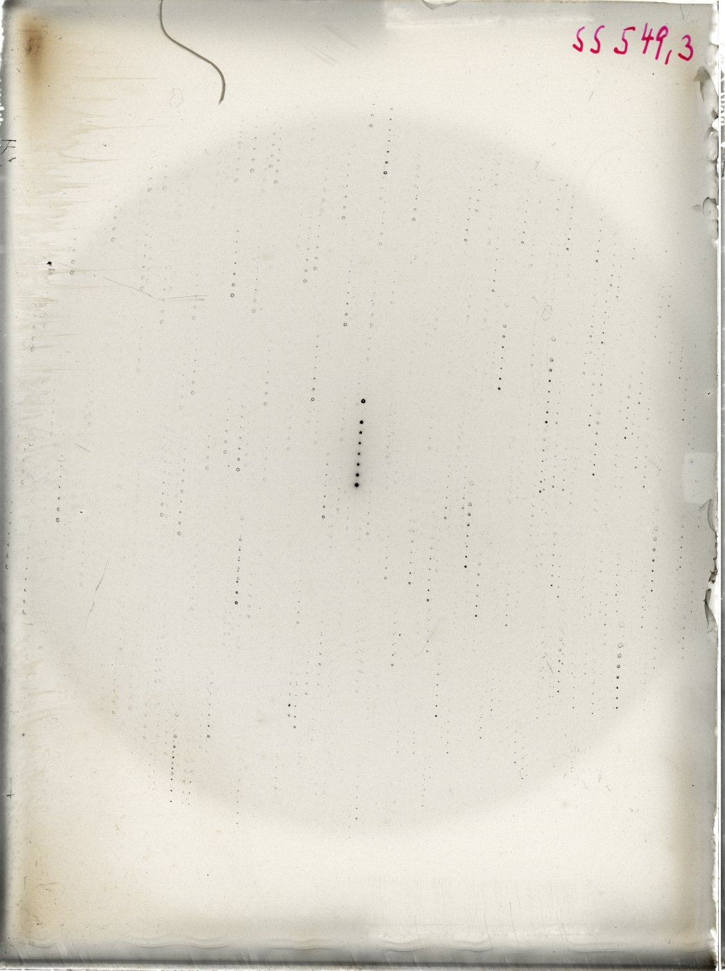 Scan SS005493