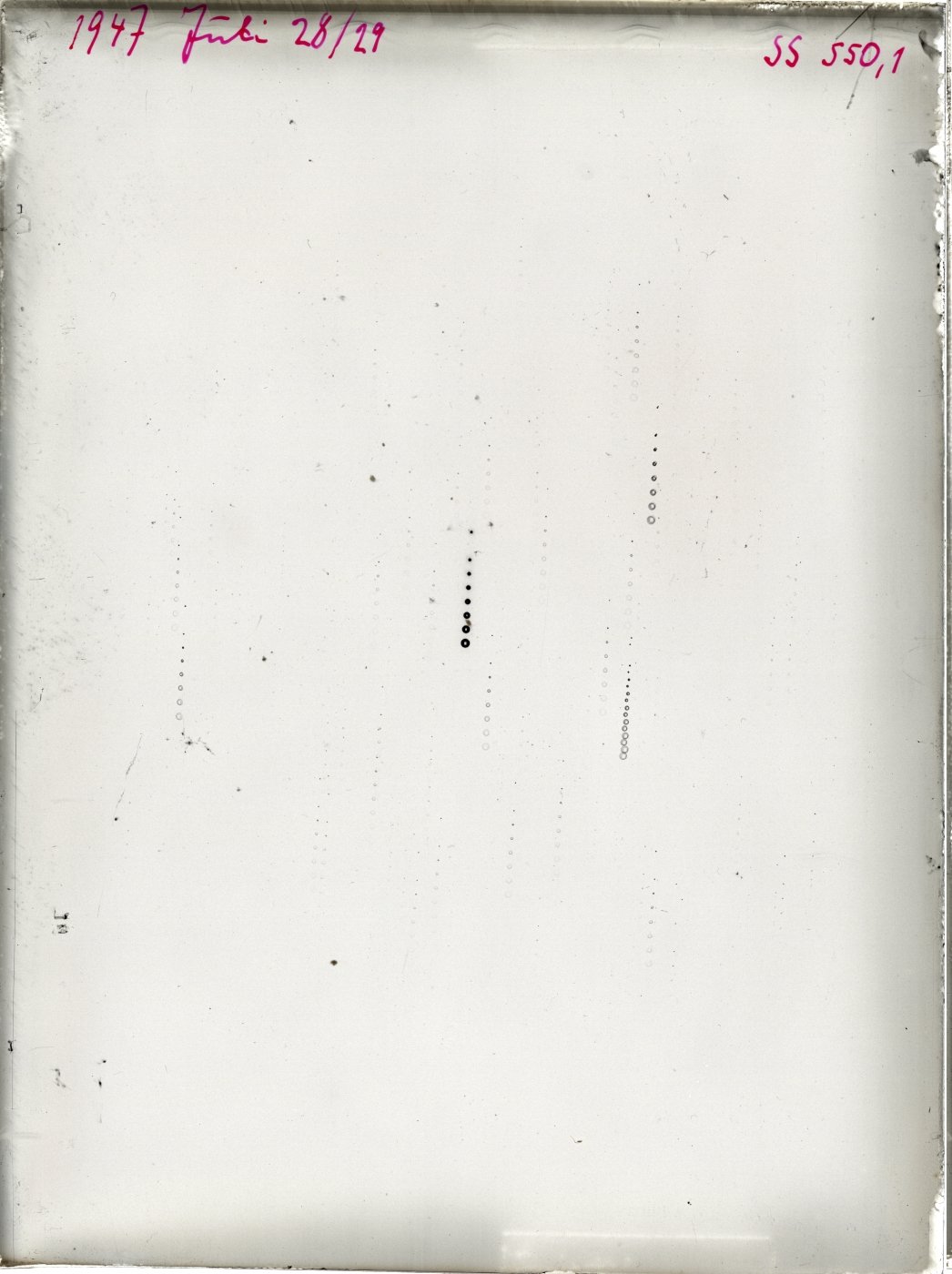 Scan SS005501