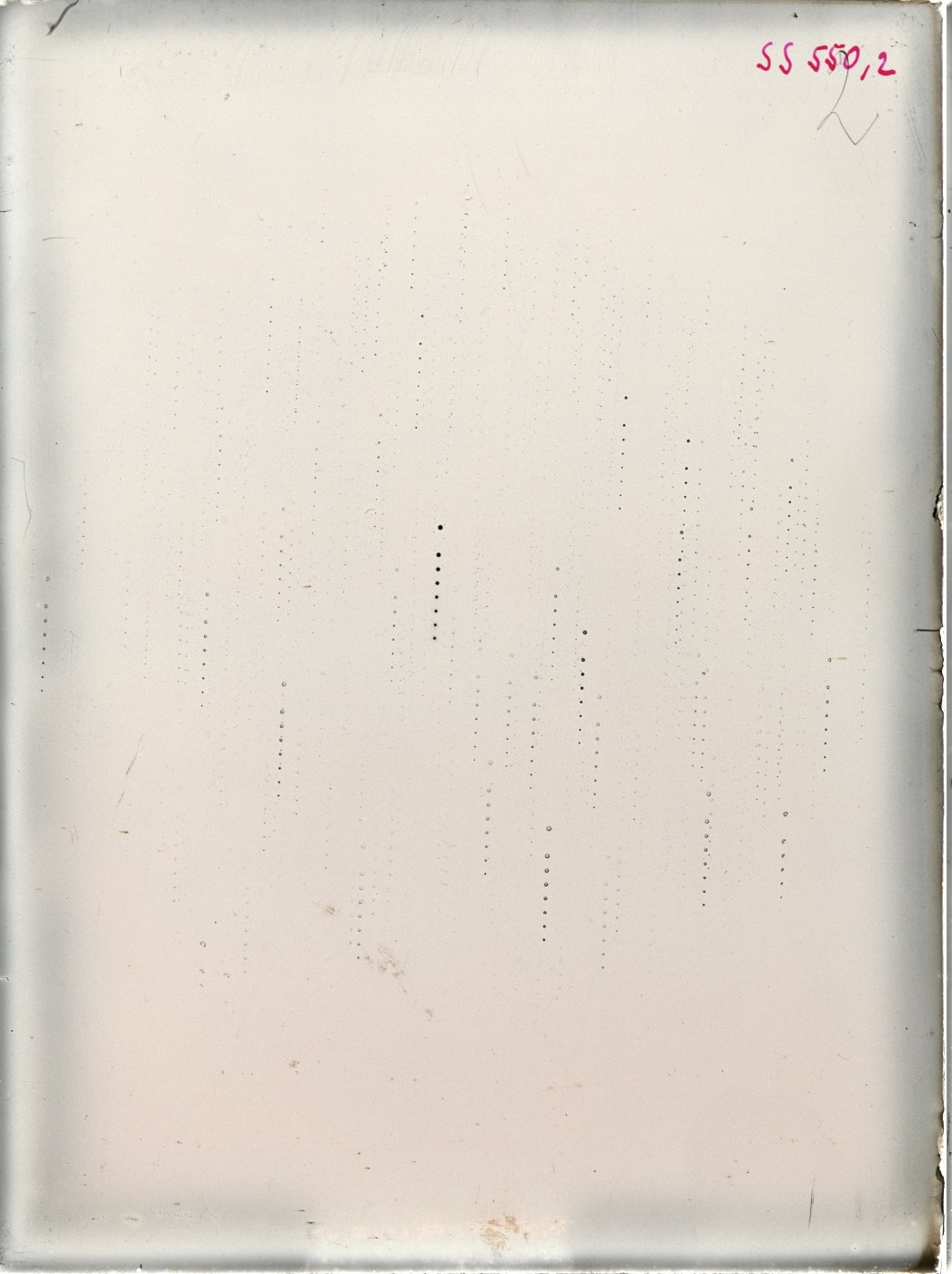 Scan SS005502